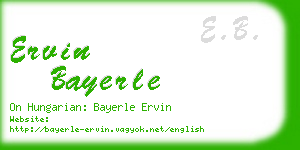 ervin bayerle business card